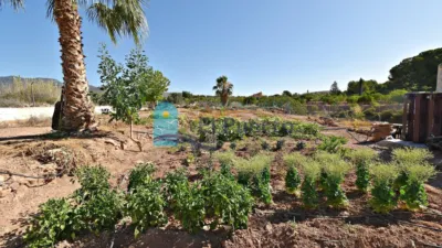 Rustic finca in Mortí photo 54