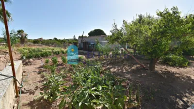 Rustic finca in Mortí photo 55