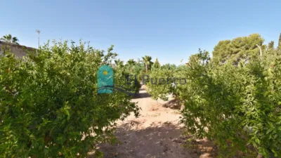 Rustic finca in Mortí photo 56