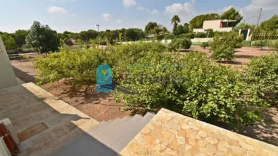 Rustic Finca in La Charca photo 57