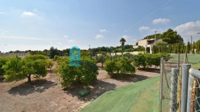 Rustic Finca in La Charca photo 59