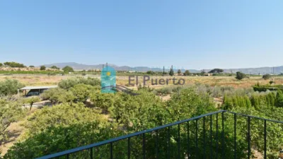 Rustic Finca in Sierra de Carrascoy photo 29