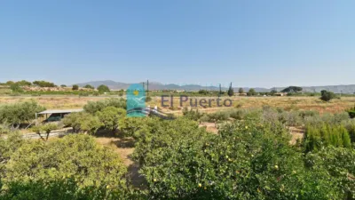 Rustic Finca in Sierra de Carrascoy photo 30