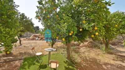 Rustic Finca in Sierra de Carrascoy photo 47