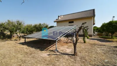 Rustic Finca in Sierra de Carrascoy photo 48