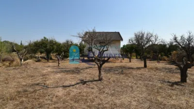Rustic Finca in Sierra de Carrascoy photo 49