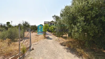 Rustic Finca in Sierra de Carrascoy photo 52