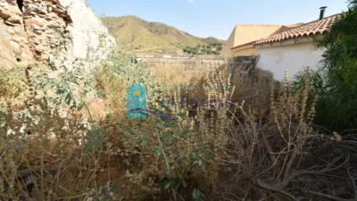 Rustic Finca in Isla Plana-Los Puertos photo 14