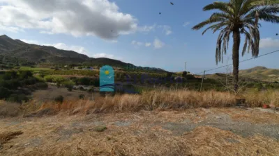 Rustic Finca in Isla Plana-Los Puertos photo 34