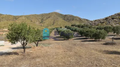 Rustic Finca in Isla Plana-Los Puertos photo 36