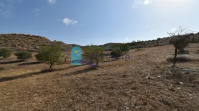 Rustic Finca in Isla Plana-Los Puertos photo 37