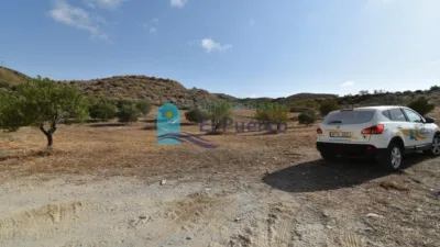 Rustic Finca in Isla Plana-Los Puertos photo 38