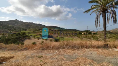Rustic Finca in Isla Plana-Los Puertos photo 40
