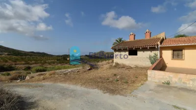 Rustic Finca in Isla Plana-Los Puertos photo 45