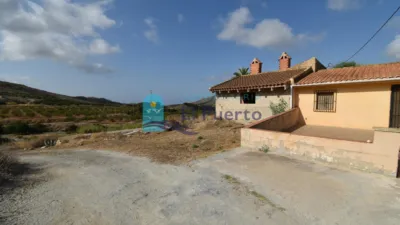Rustic Finca in Isla Plana-Los Puertos photo 46
