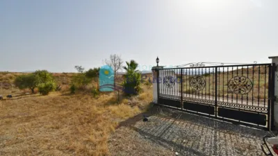 Rustic Finca in La Atalaya photo 53