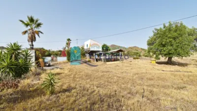 Rustic Finca in La Atalaya photo 54