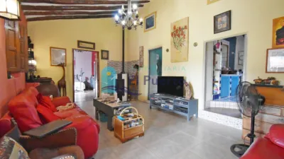 Rustic Finca in La Atalaya photo 5