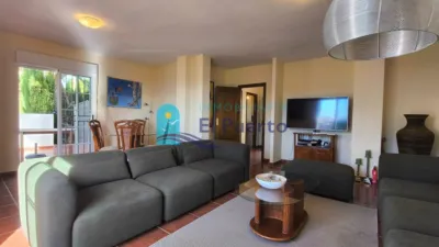 Chalet in El Alamillo photo 3