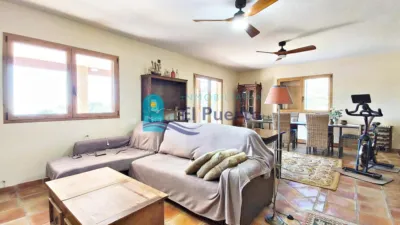 Chalet in Las Balsicas photo 6