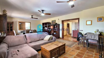 Chalet in Las Balsicas photo 8