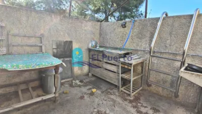 Rustic Finca in Gañuelas photo 40