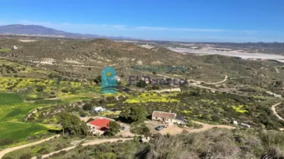 Rustic Finca in Gañuelas photo 4