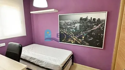 Apartment in Condado de Alhama photo 10