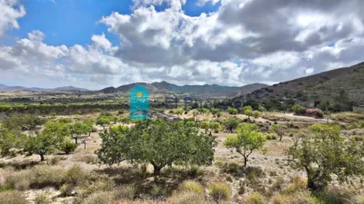 Rustic Finca in Tallante photo 21
