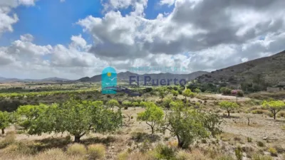 Rustic Finca in Tallante photo 23