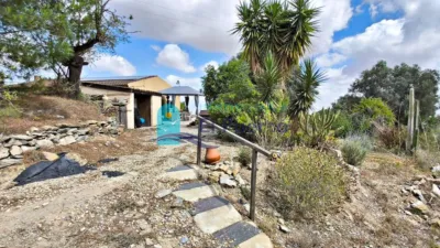 Rustic Finca in Tallante photo 32