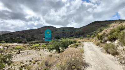 Rustic Finca in Tallante photo 33