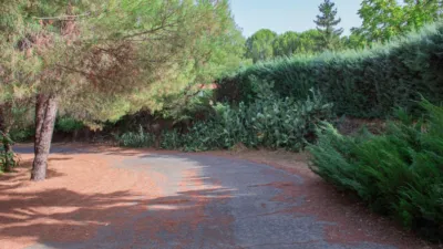 Finca rústica en venta en 1-Plasencia - Vista 6