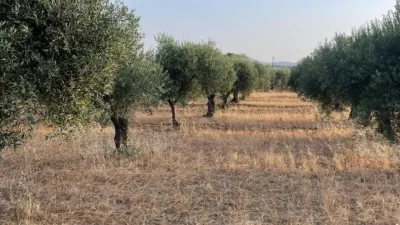 Finca rústica en venta en San Andrés, Reina Sofía-Salesianos-Bodegones (Mérida) de 295.000 €