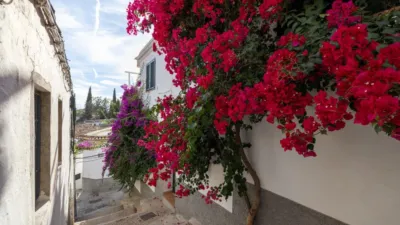Terraced House in Albaicín photo 38