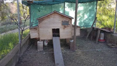 Rustic Finca in El Pradillo photo 24