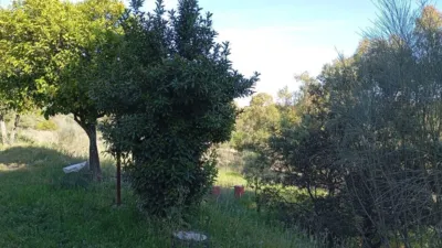 Finca rústica en venta en El Pradillo - Vista 5