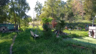 Rustic Finca in El Pradillo photo 7