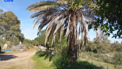 Rustic Finca in El Pradillo photo 8