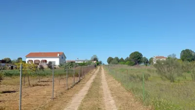 Finca rústica en venta en Sur - Vista 5