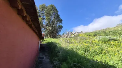Rustic Finca on Las Rosas Street photo 34