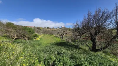 Rustic Finca on Las Rosas Street photo 35