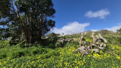 Rustic Finca on Las Rosas Street photo 37