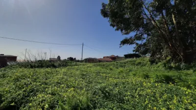 Rustic Finca on Las Rosas Street photo 38