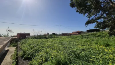 Rustic Finca on Las Rosas Street photo 39
