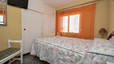 Chalet on Avenida Dama de Elche photo 31