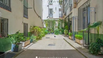 Apartment in Recoletos photo 2