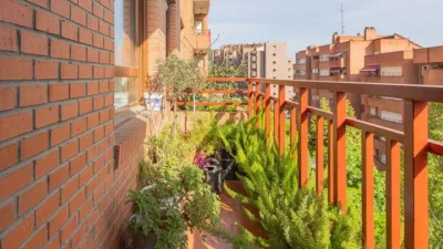 Apartment on Bentazarra Street photo 26
