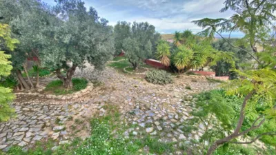 Rustic Finca in Sangonera La Seca photo 18