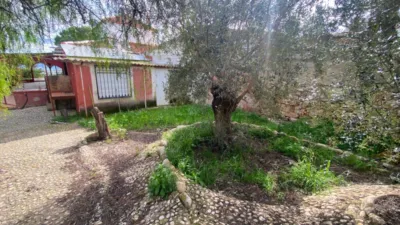Rustic Finca in Sangonera La Seca photo 20
